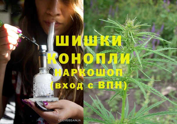 гашик Володарск