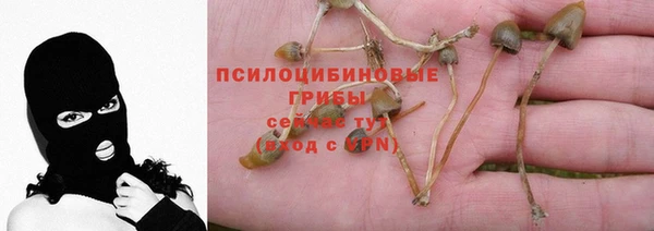ешки Верхний Тагил