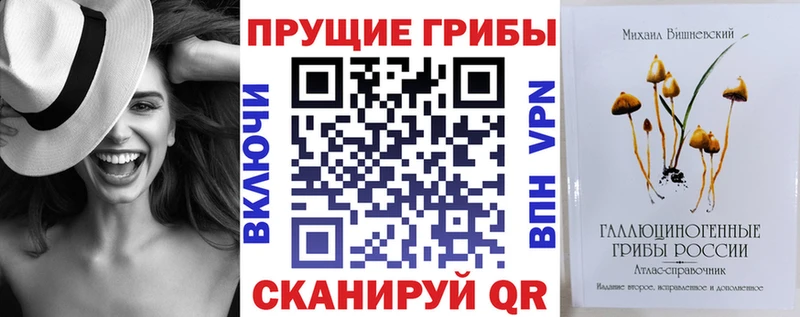 Купить где  Солигалич  Псилоцибиновые грибы Cubensis 
